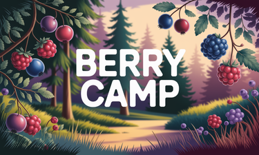BerryCamp.com - Creative brandable domain for sale